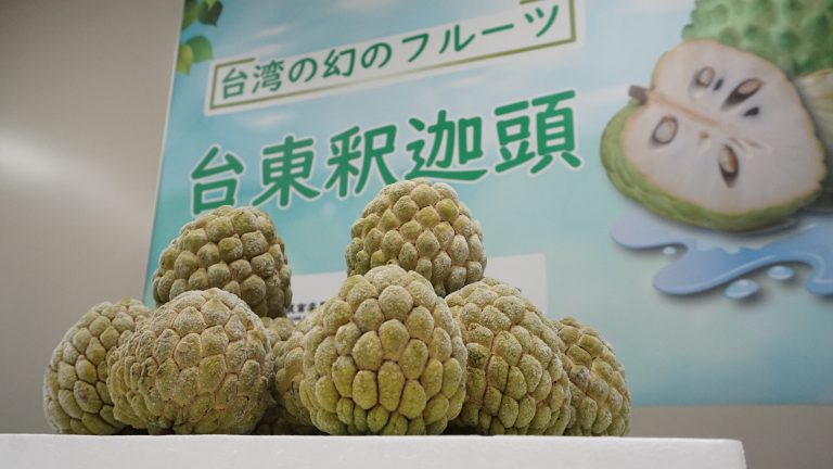 台東釋迦首銷日本　冷凍技術解決保存問題