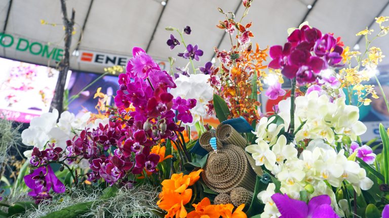 世界らん展に台湾５業者が出展～奨励賞受賞