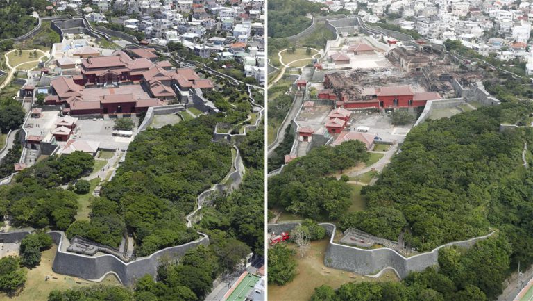 沖繩首里城若修復 再使用台灣木材機率低